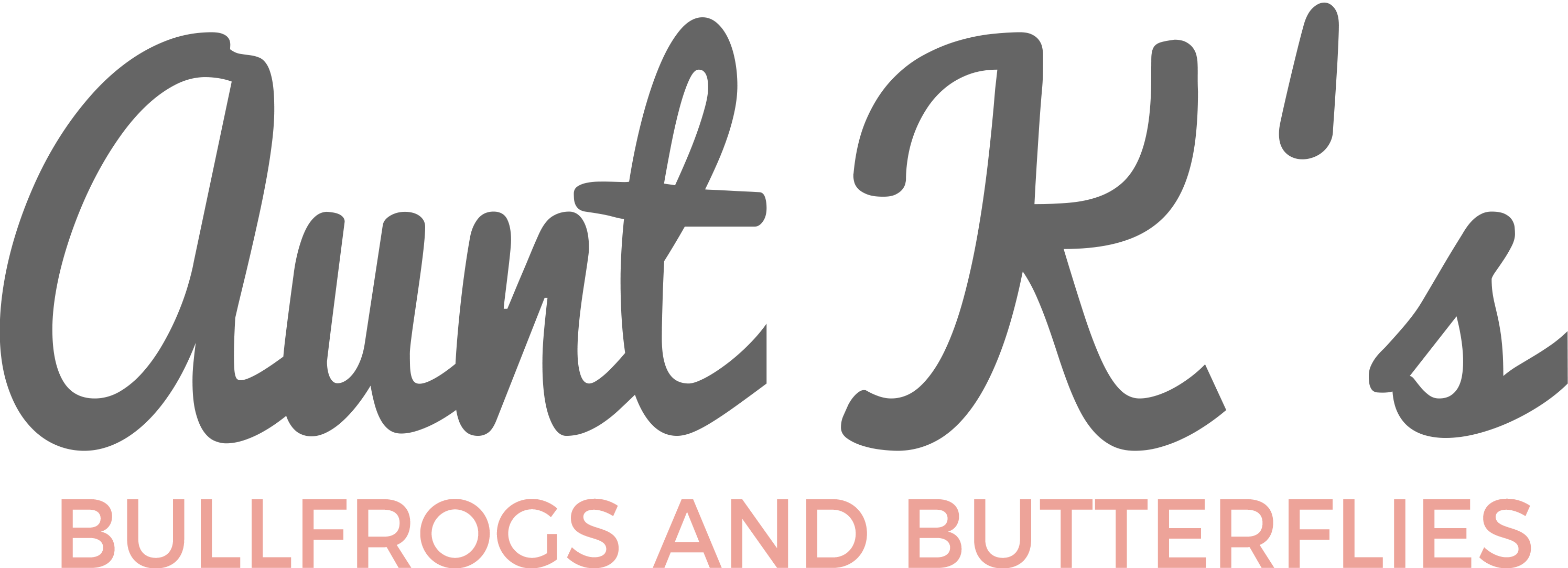 Aunt K's Bullfrogs and Butterflies - Preschool and Childcare in Bushnell FL